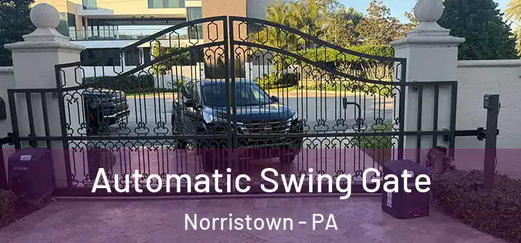 Automatic Swing Gate Norristown - PA