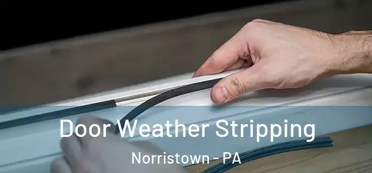 Door Weather Stripping Norristown - PA