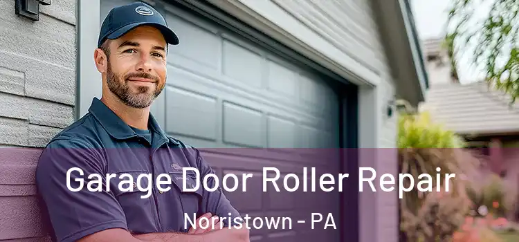  Garage Door Roller Repair Norristown - PA