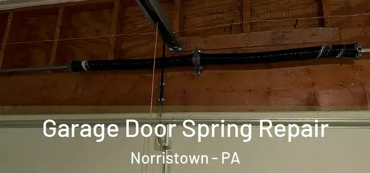  Garage Door Spring Repair Norristown - PA