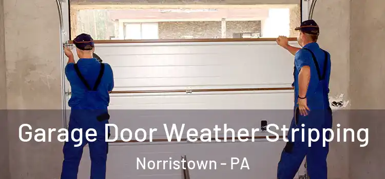  Garage Door Weather Stripping Norristown - PA