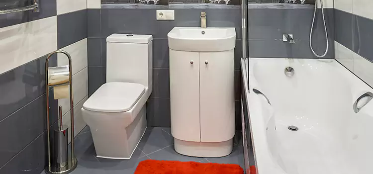 Hansgrohe Shaving Mirror Norristown