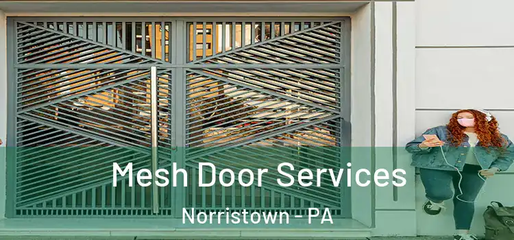 Mesh Door Services Norristown - PA