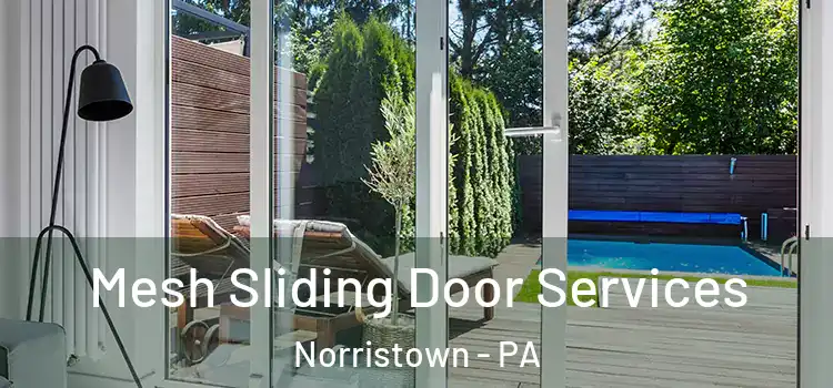 Mesh Sliding Door Services Norristown - PA