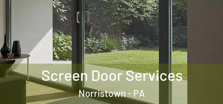 Screen Door Services Norristown - PA