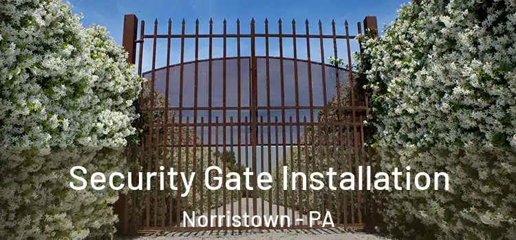 Security Gate Installation Norristown - PA